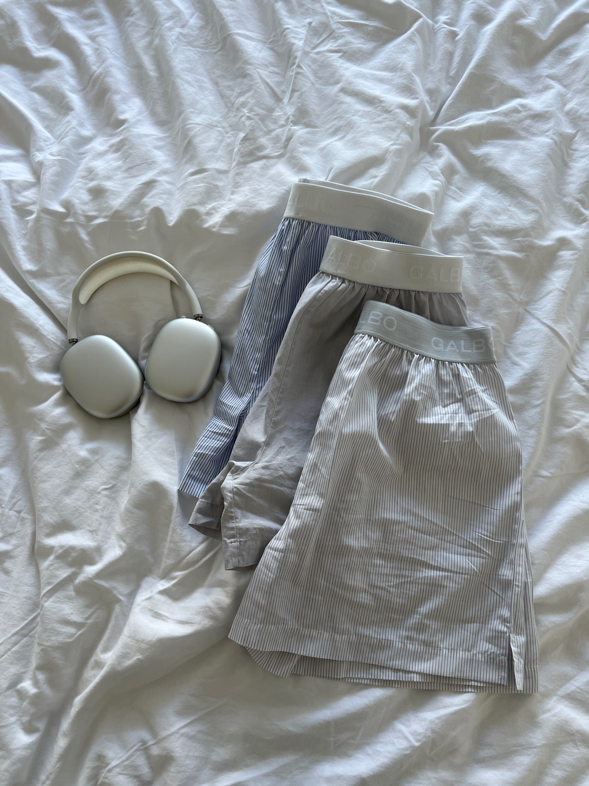 Le Boxer Galbo gris