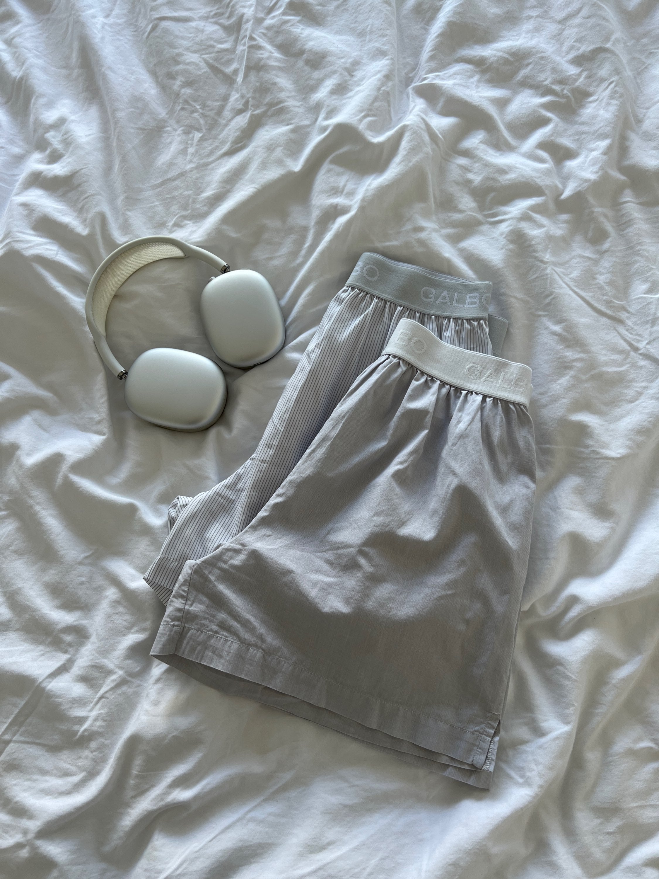 Le Boxer Galbo gris