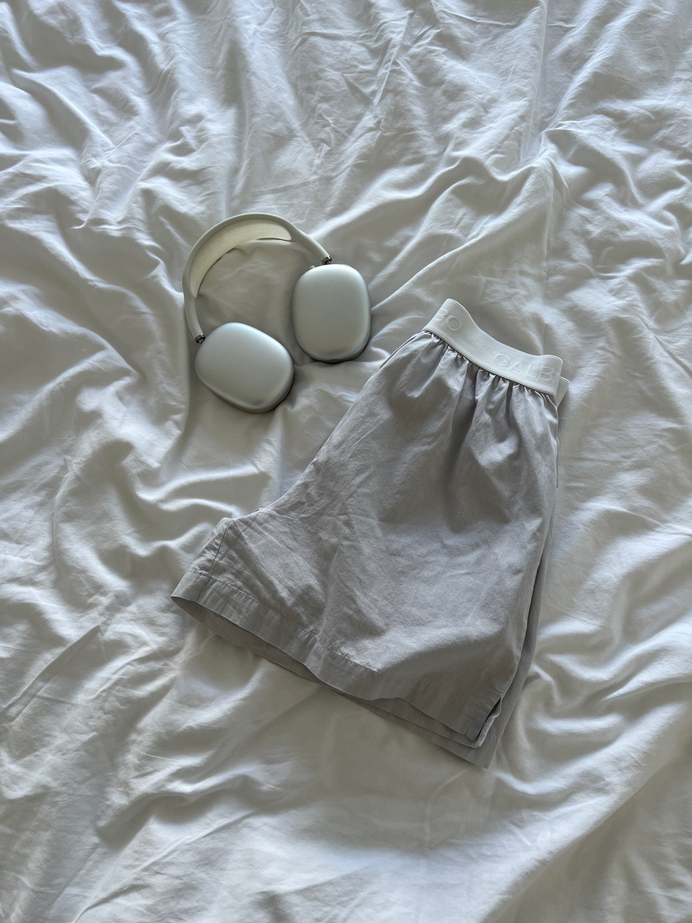 Le Boxer Galbo gris