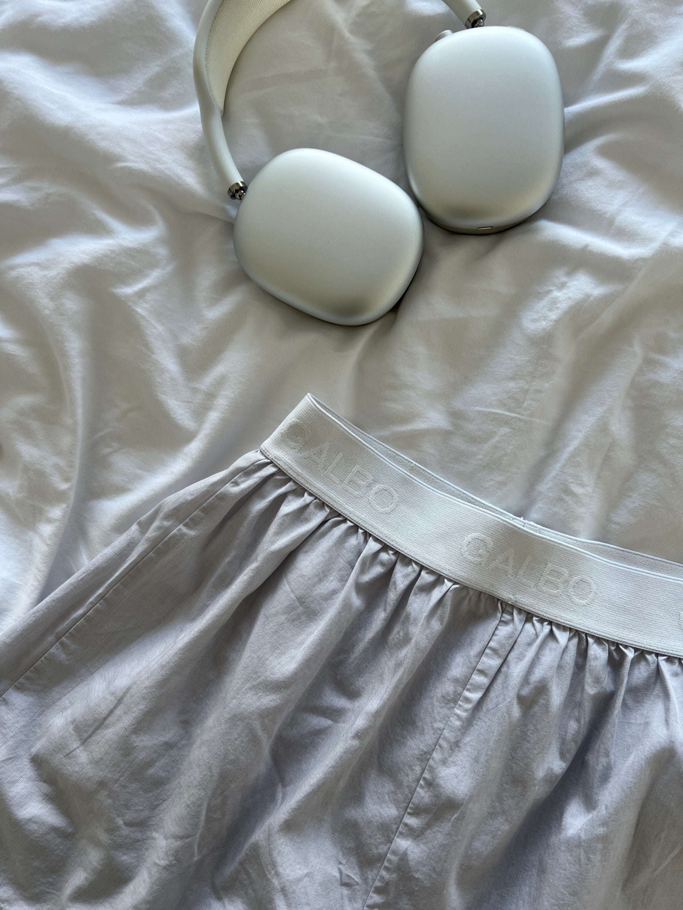 Le Boxer Galbo gris