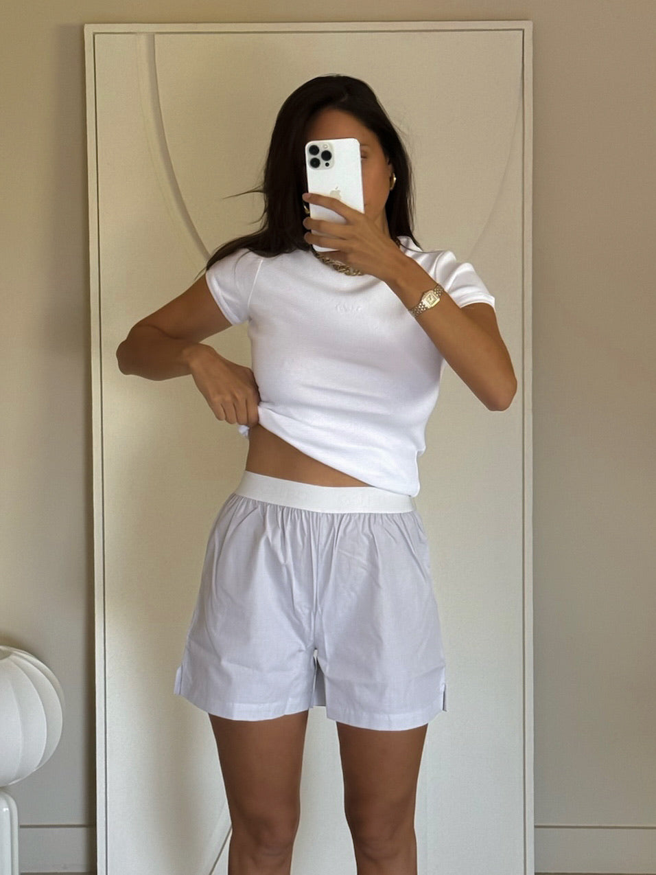 Le Boxer Galbo gris