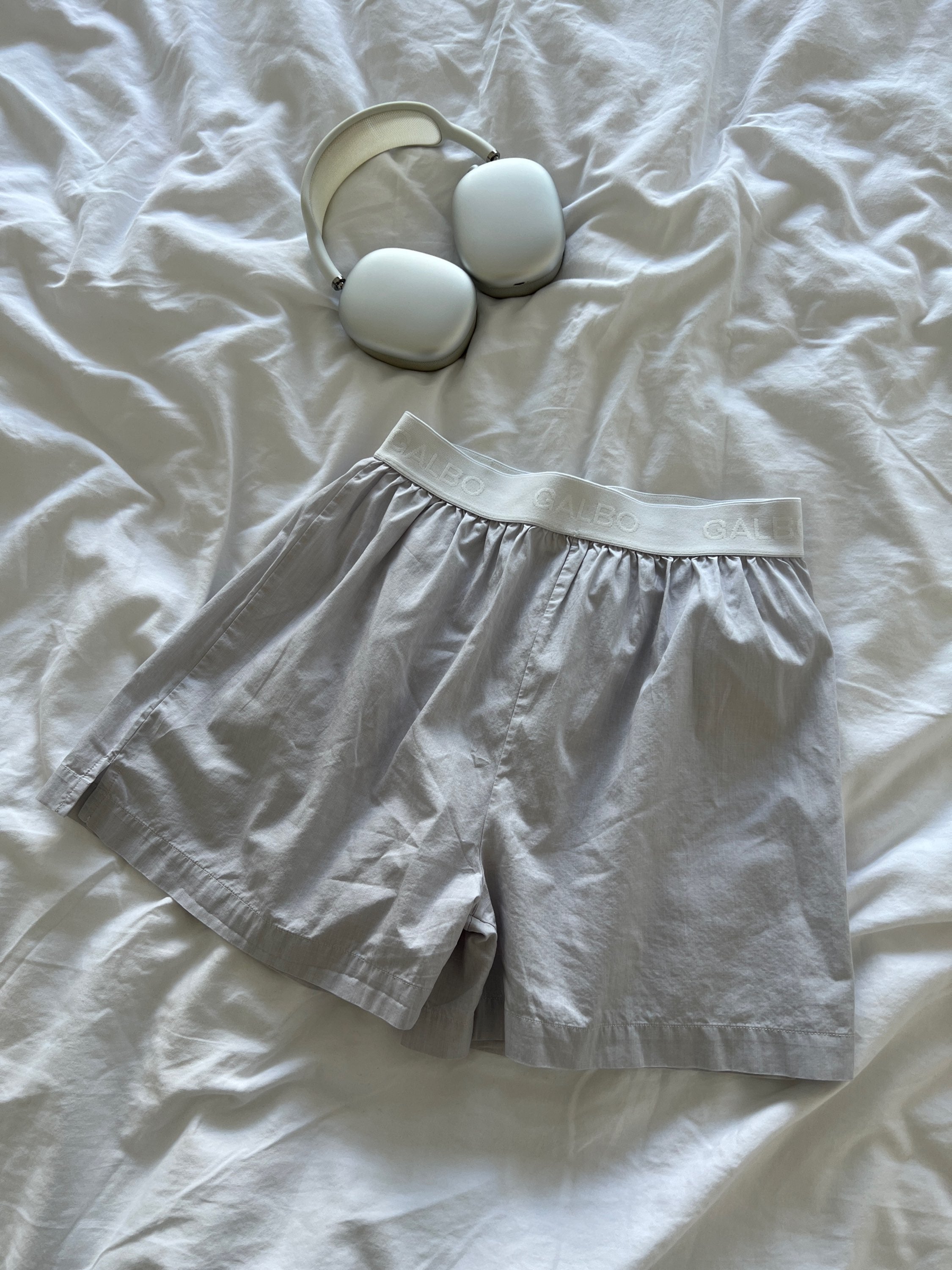 Le Boxer Galbo gris