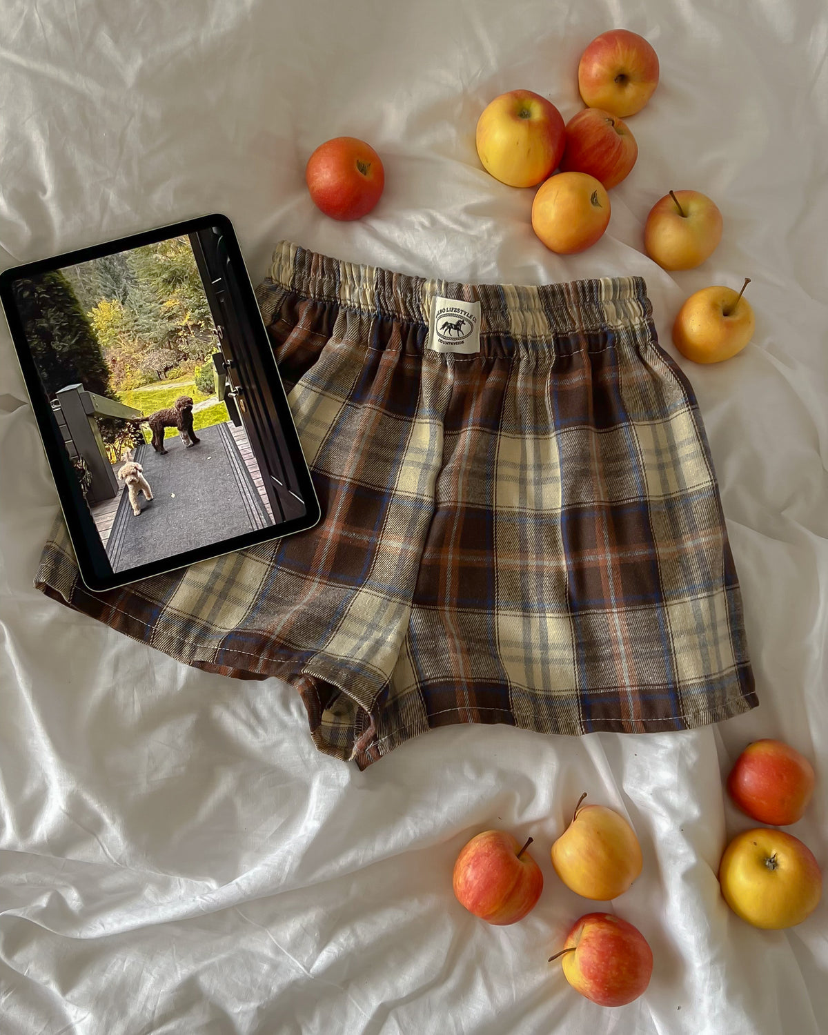 Le short Countryside - Tartan Pecan Pie 🥧